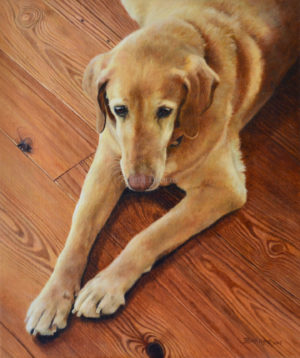 Dog portrait of Gilda - 12