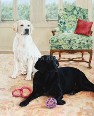Dog portrait of Bella and Nick - 24