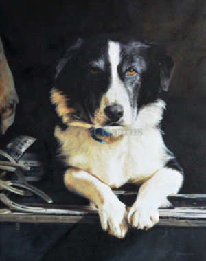 Buster, the Farrier's Dog