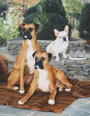 Dog portrait of Calvin, Leo and Dallas - 42