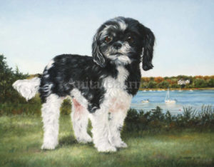 Dog portrait of Emma - 11