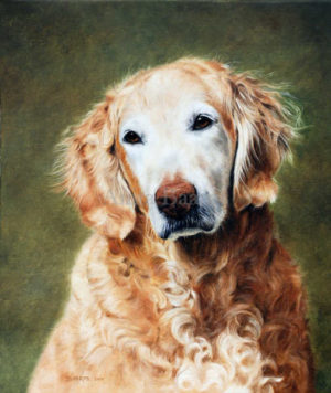 Dog portrait of Lacey - 12