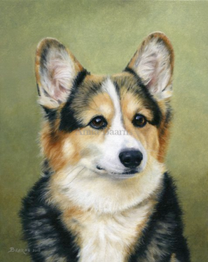 Dog portrait of Louis - 8