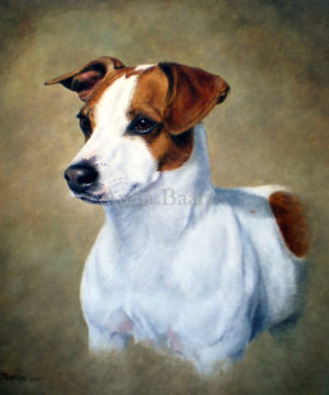 Dog portrait of Mr. Max - 11