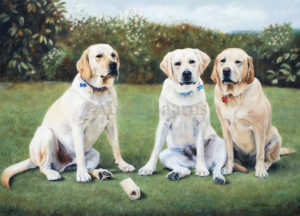 Dog portrait of Riley, Mackie and Sandy - 22