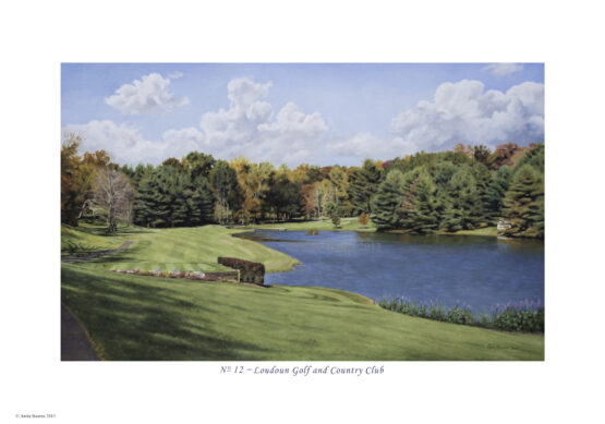 No 12 at Loudoun Golf & Country Club