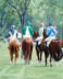 Going to Post at Great Meadow